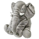 Adorable Elephant