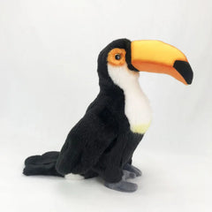 Toucan