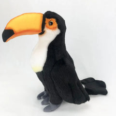 Toucan
