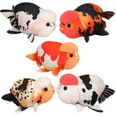 Ranchu Goldfish
