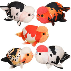 Ranchu Goldfish
