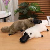 Platypus