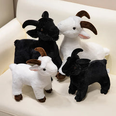 Baby Goat