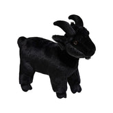 Baby Goat