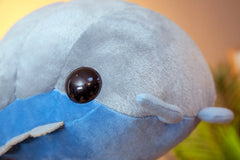 Pill Bug