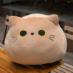 Chonky Cats
