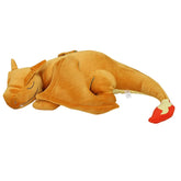 Sleepy Charizard