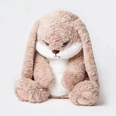 Angry Bunny