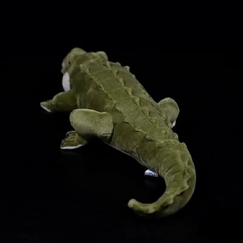 simulation crocodile