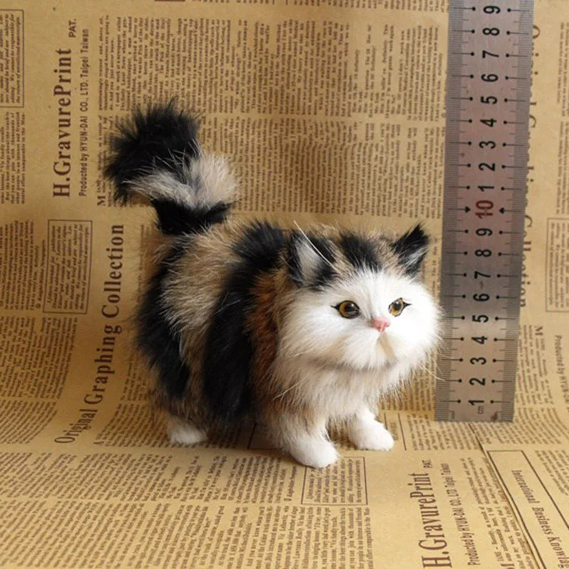 Fluffy Cats