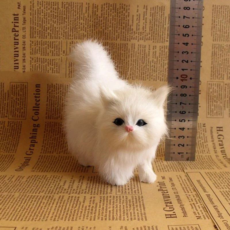 Fluffy Cats