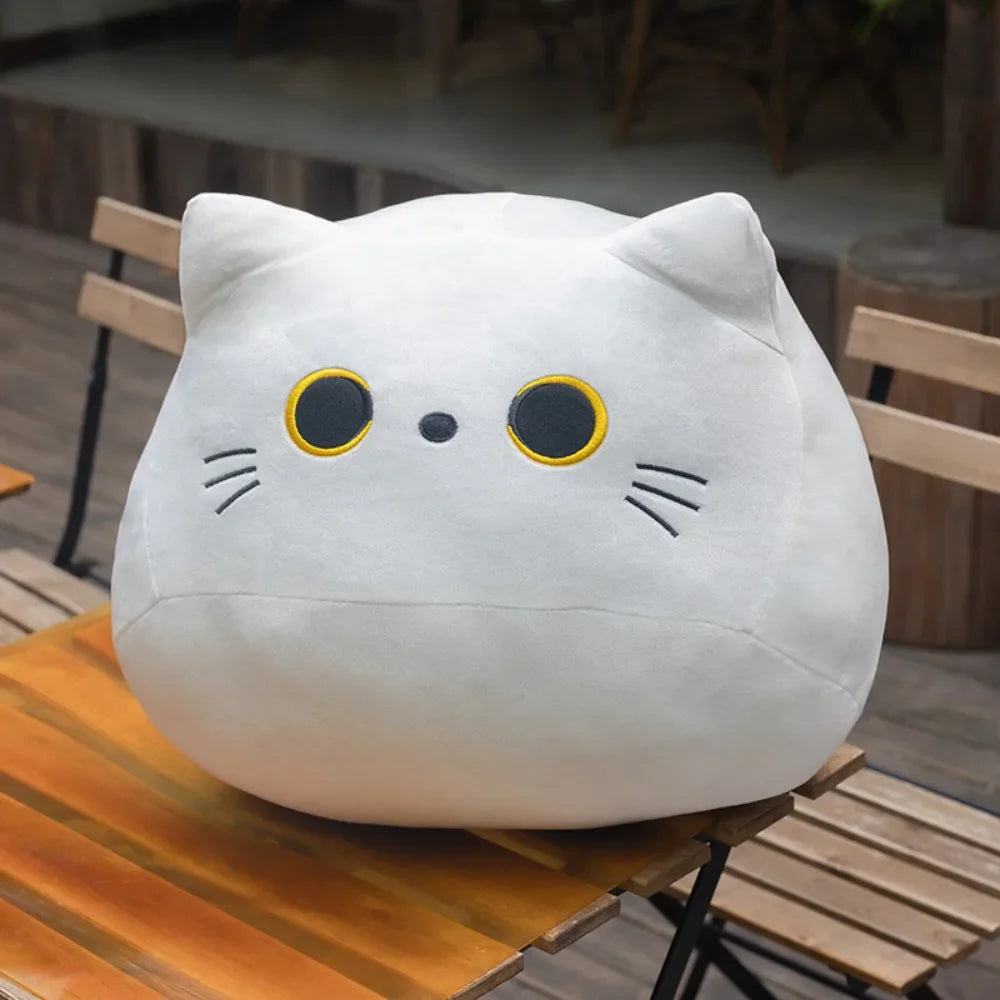 Chonky Cats