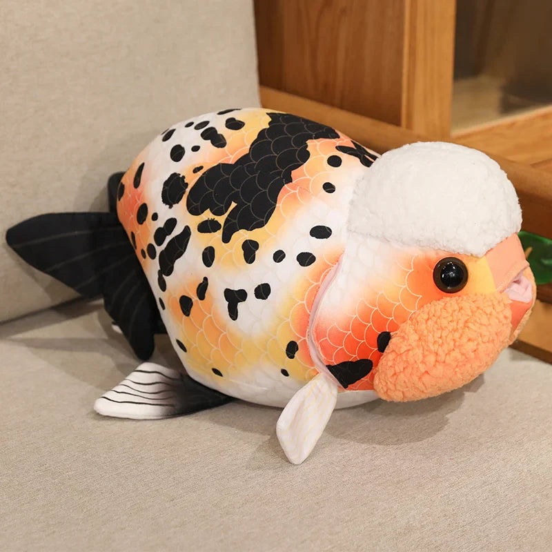 Ranchu Goldfish