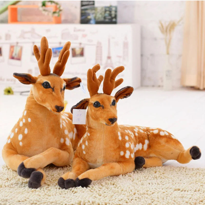 Deer