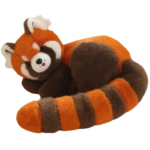 Red Raccoon