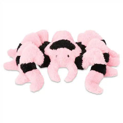 Love Tarantula