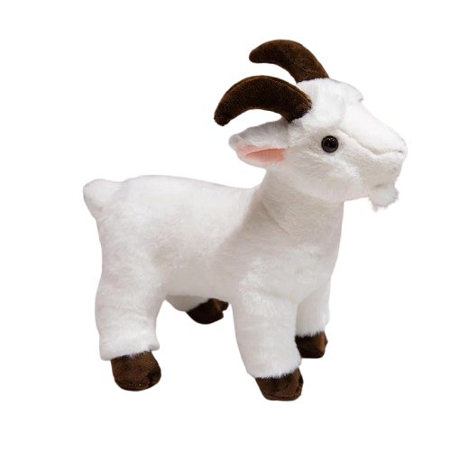 Baby Goat