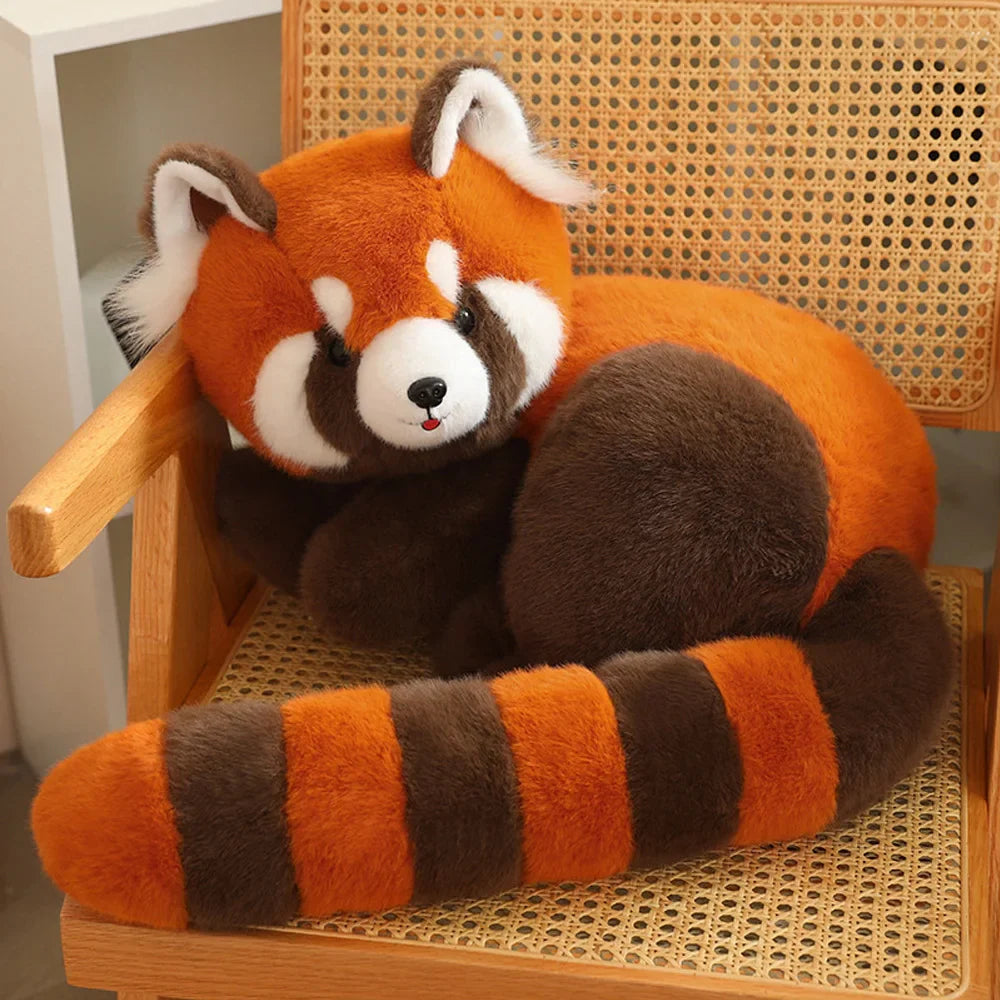 Red Raccoon