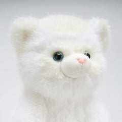 Ferret
