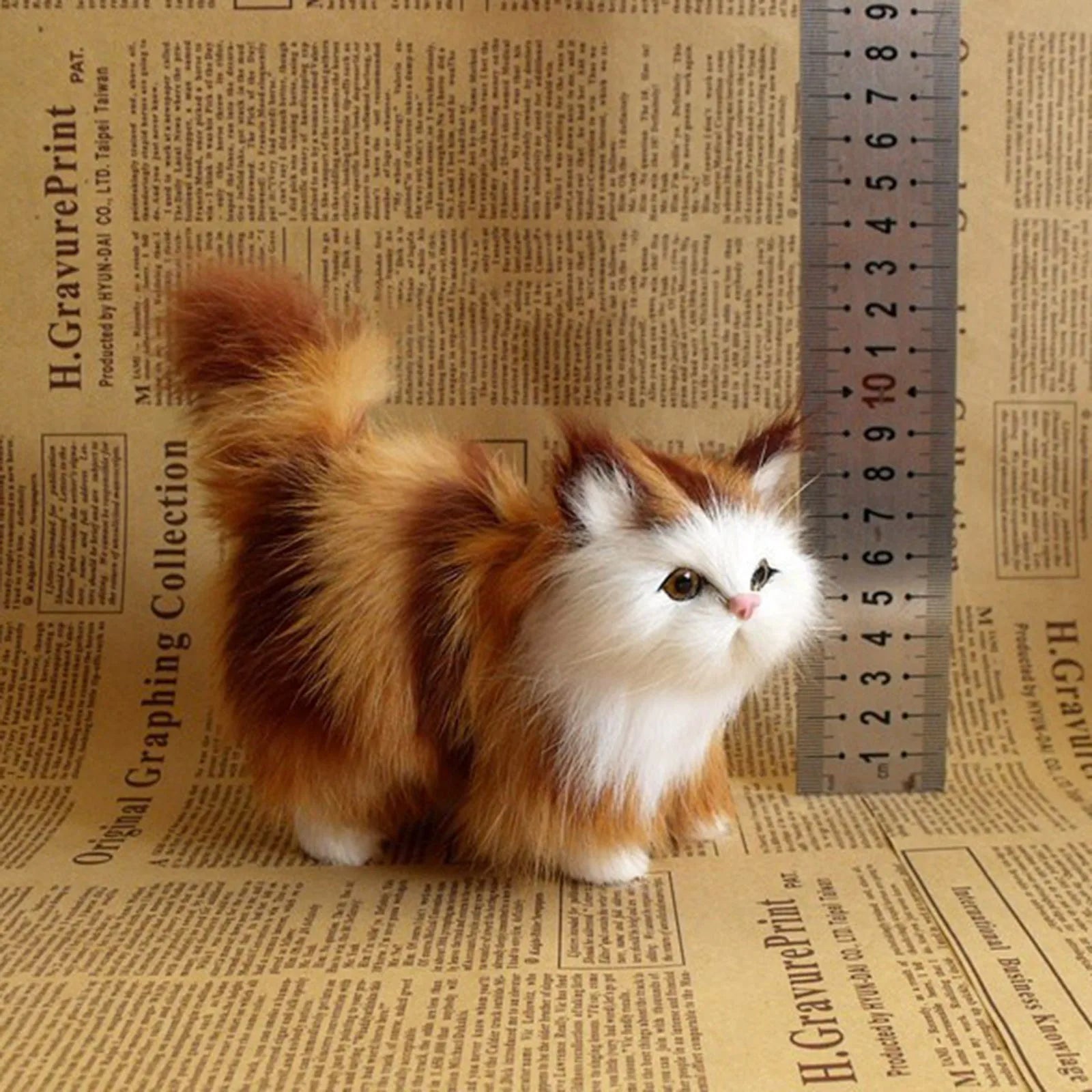 Fluffy Cats