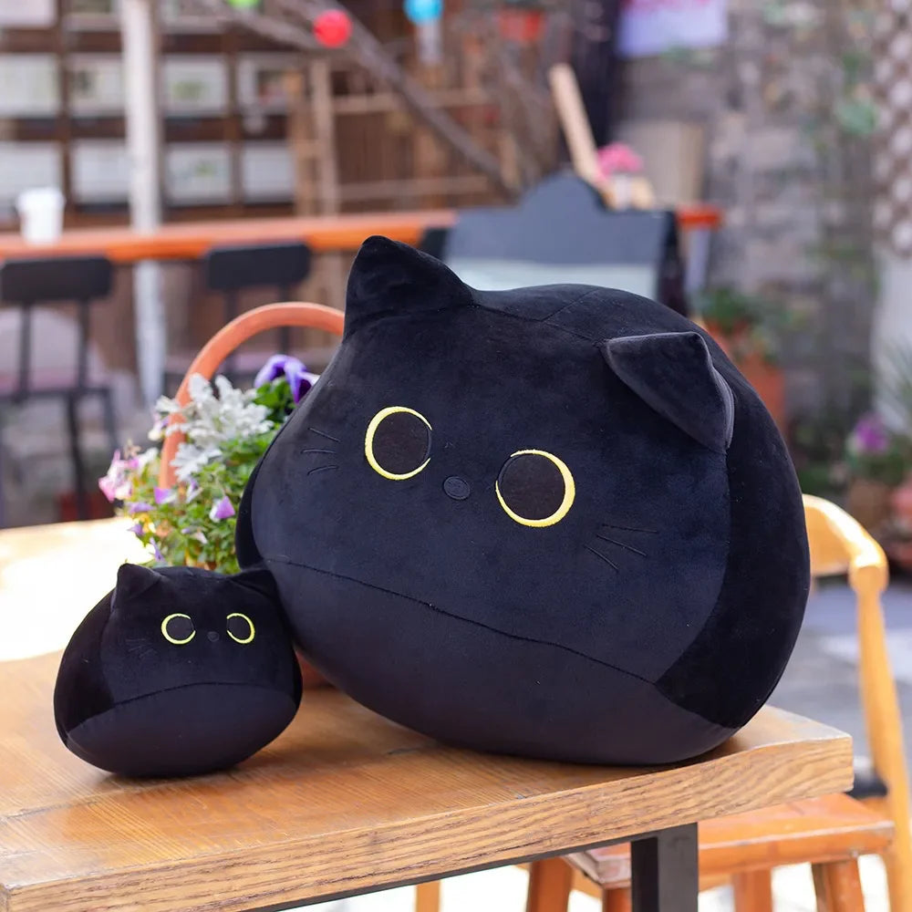Chonky Cats