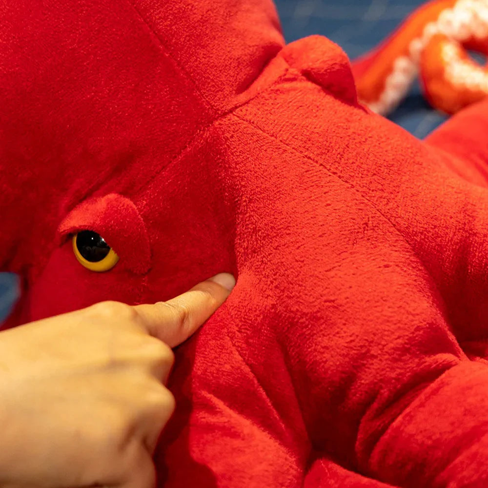 Octopus