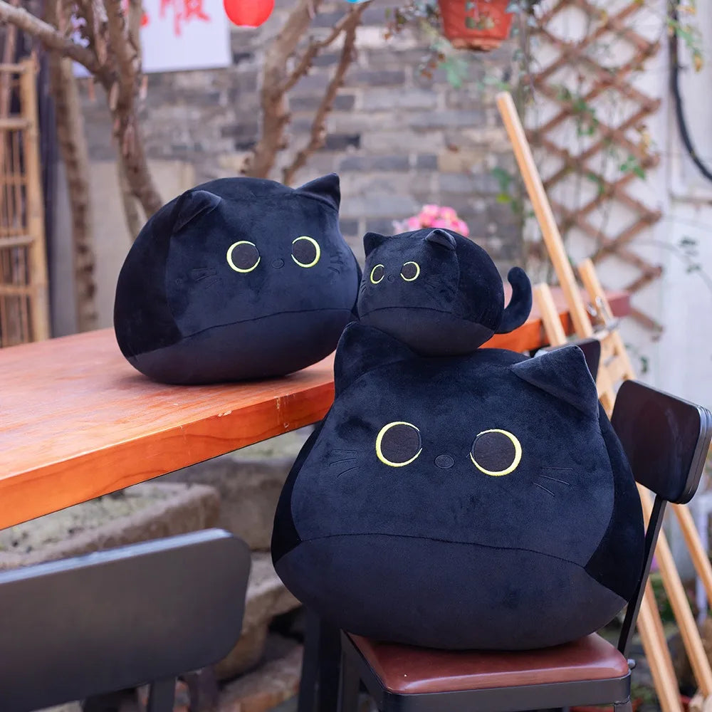 Chonky Cats
