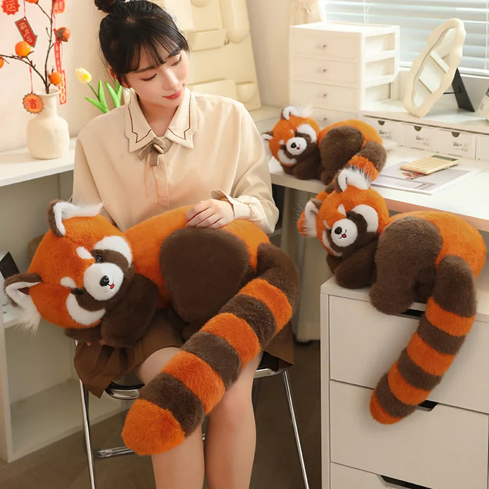 Red Raccoon
