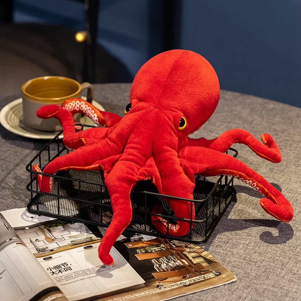 Octopus