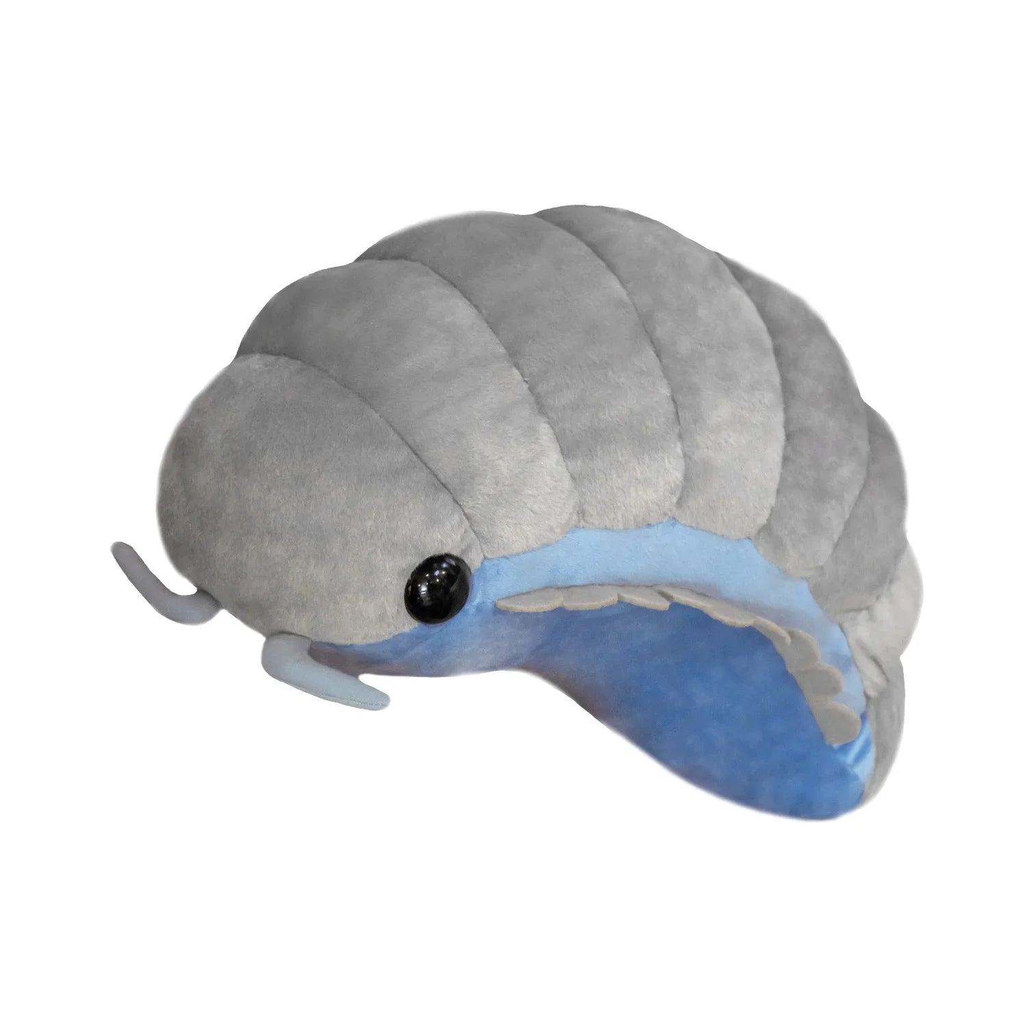 Pill Bug