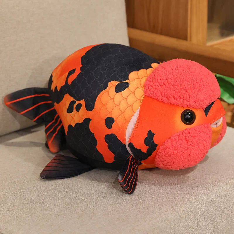 Ranchu Goldfish