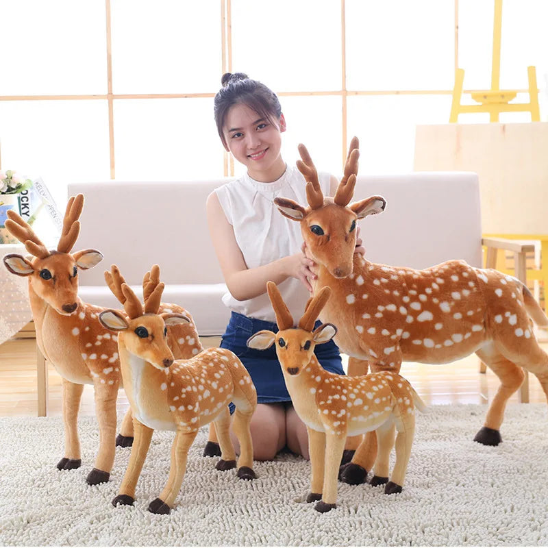 Deer