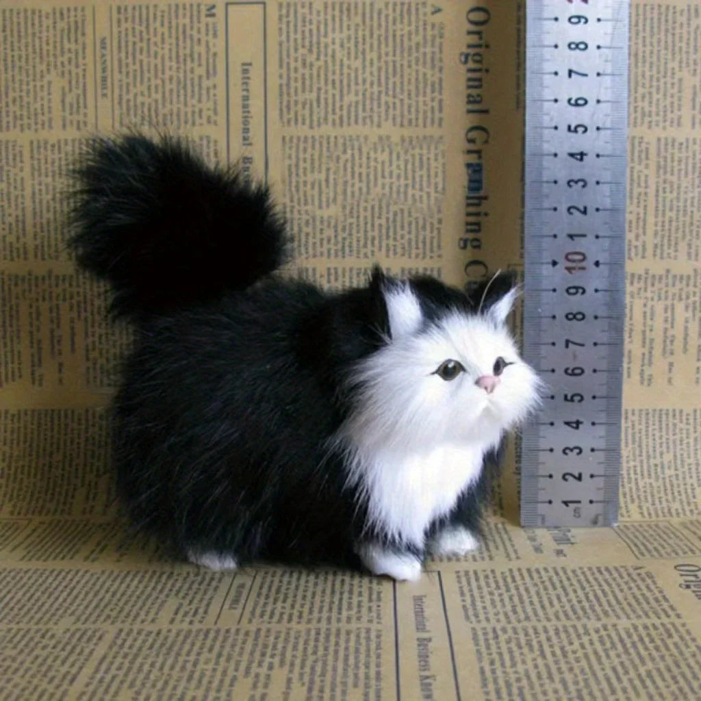 Fluffy Cats