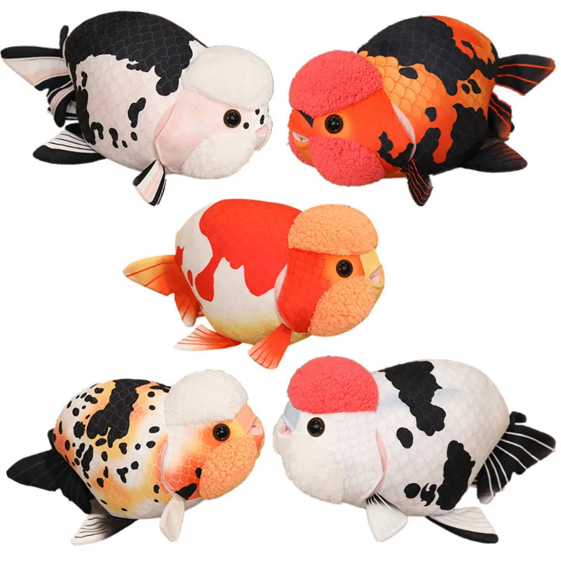Ranchu Goldfish