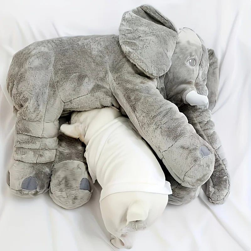 Adorable Elephant