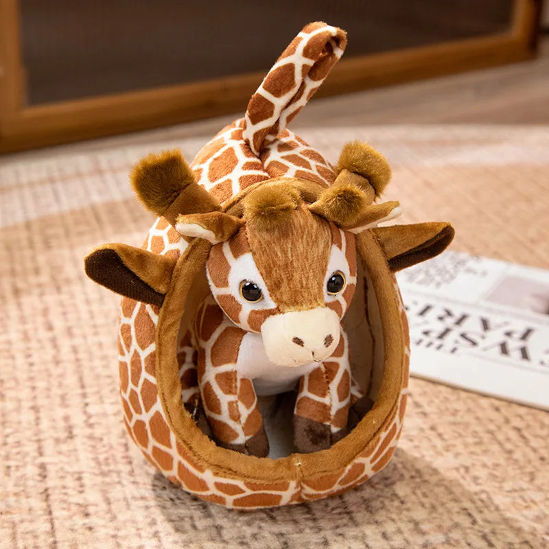 Baby Africa Pets