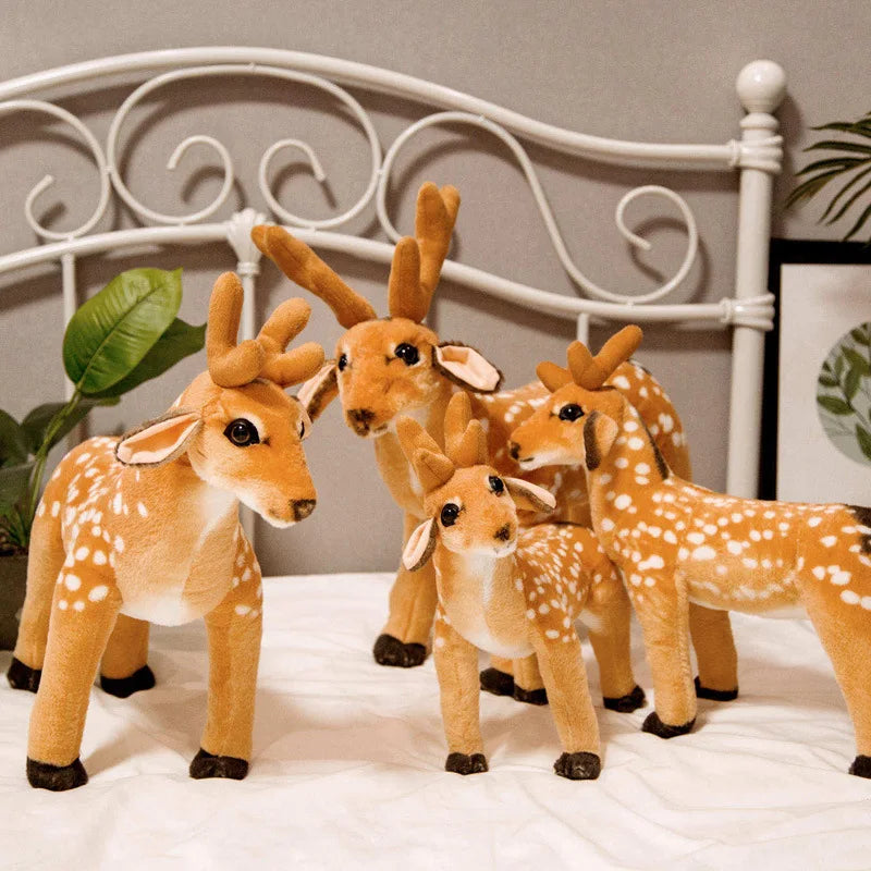 Deer