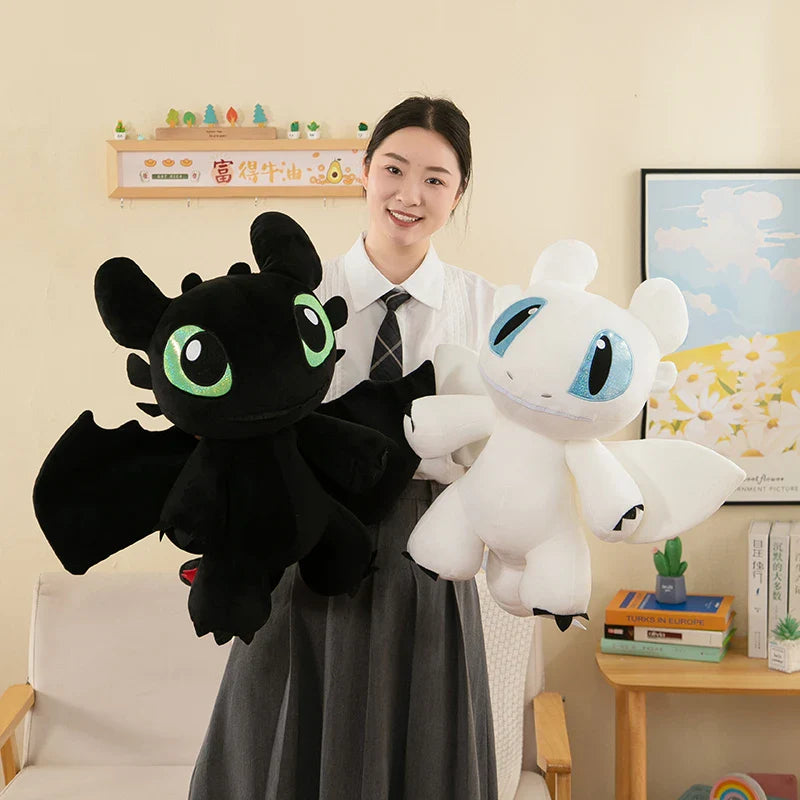 Toothless & Light Fury