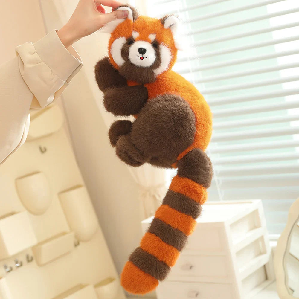 Red Raccoon