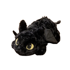 Toothless & Light Fury