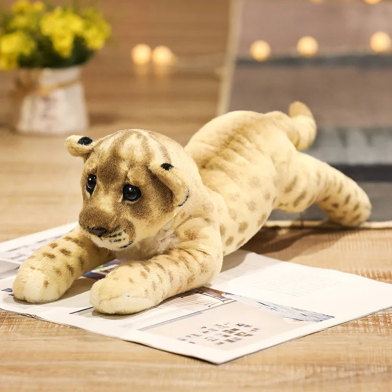 Baby Felines