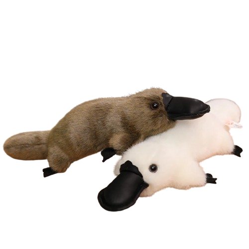 Platypus