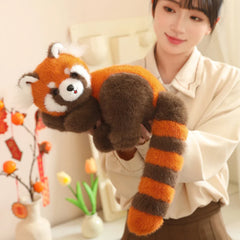 Red Raccoon