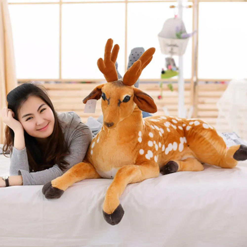 Deer