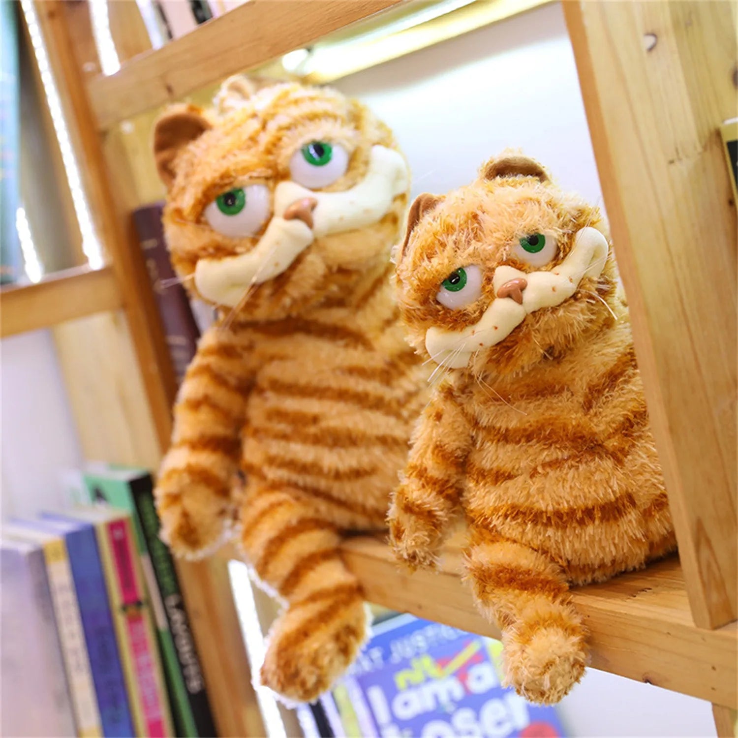 Fat Orange Cat