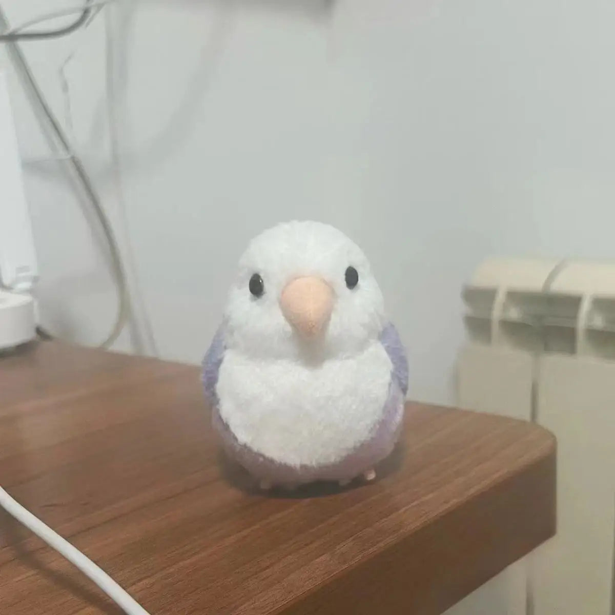 Lovebird Parrot