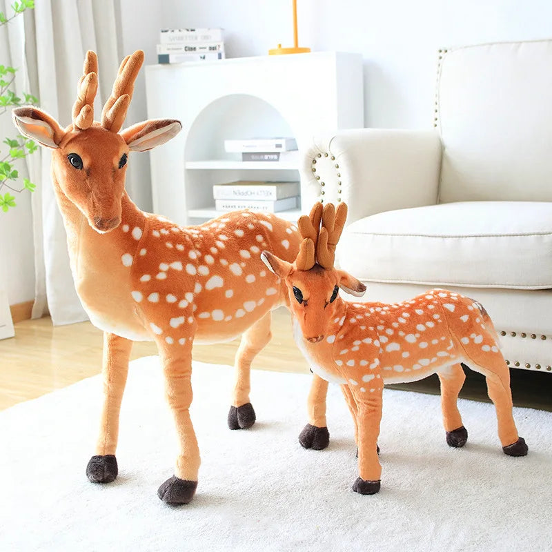 Deer