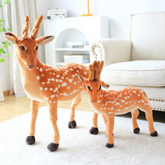 Deer
