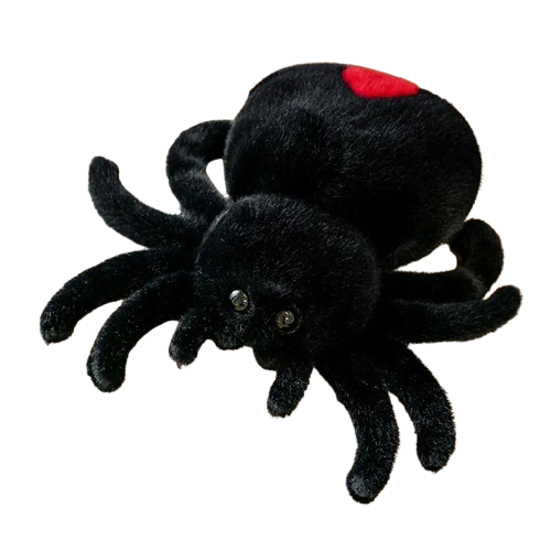 Chonky Spider