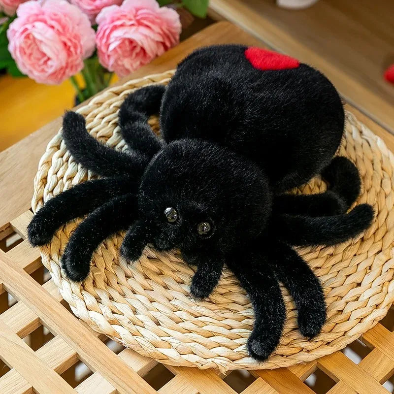 Chonky Spider